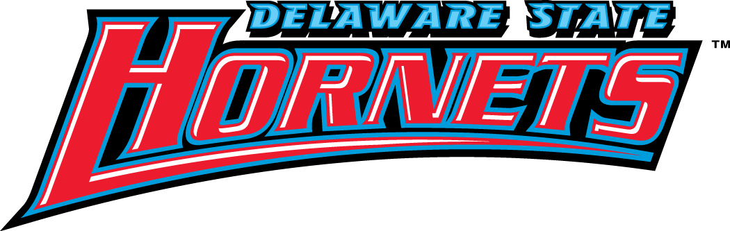 Delaware State Hornets 2004-Pres Wordmark Logo diy fabric transfer